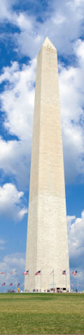 Serving Washington DC for 25 years