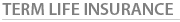 term life insurance